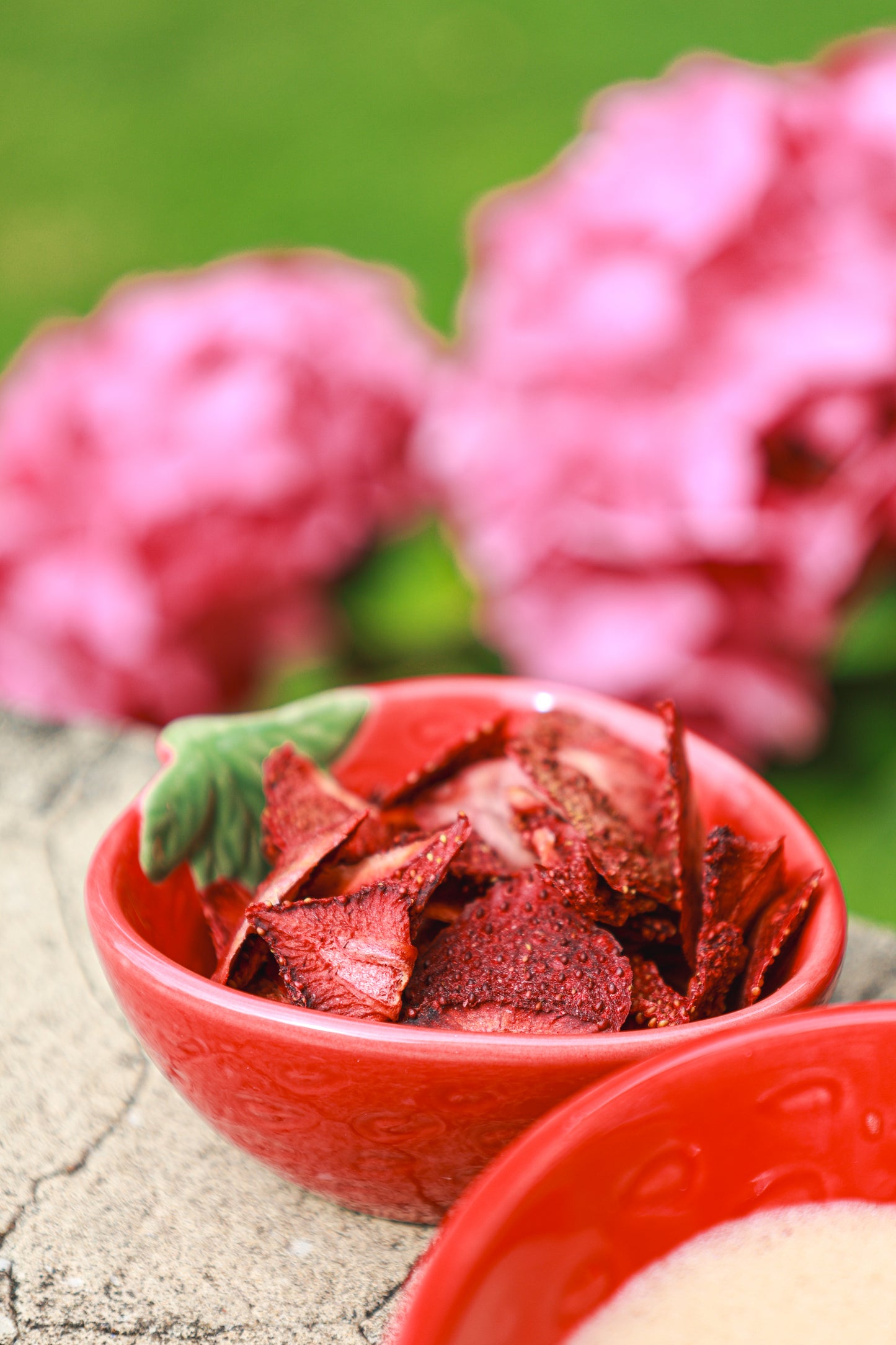 Fraises déshydratées artisanales 100G EDITION LIMITEE